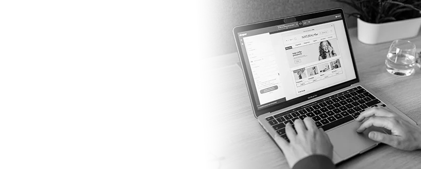 eCommerce Development